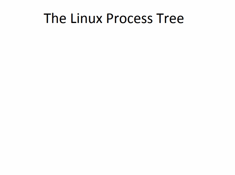 Linux process tree example gif